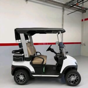 Tara Golf Cart Roadster ELECTRIC 2 SEATER