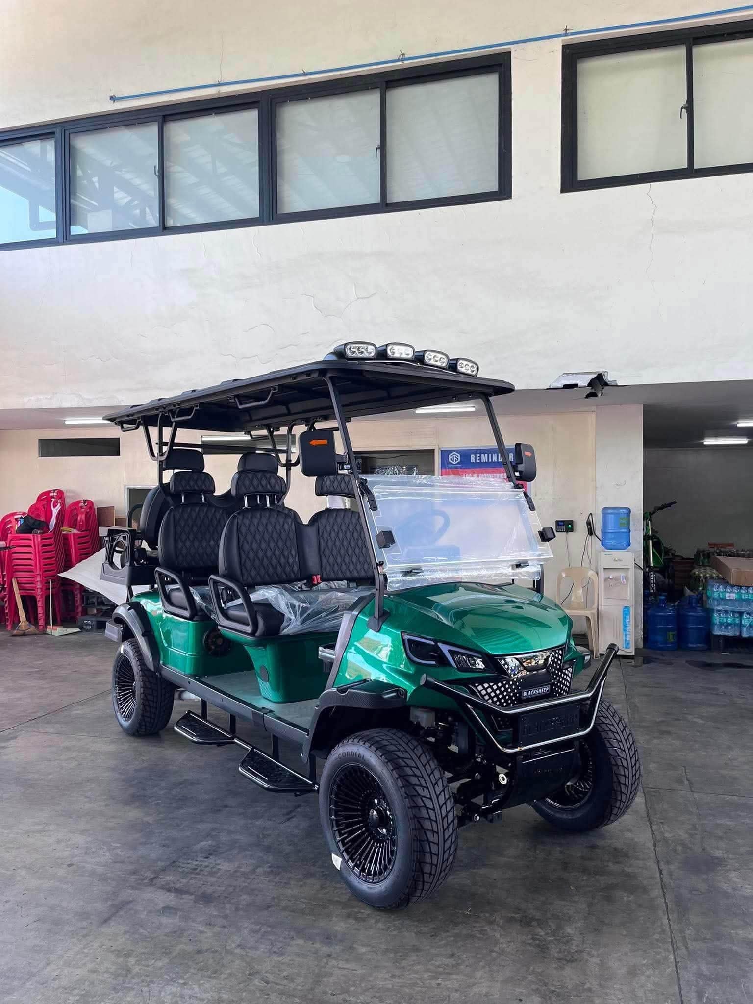 Blacksheep Motors 6-Seater ELECTRIC - Image 5
