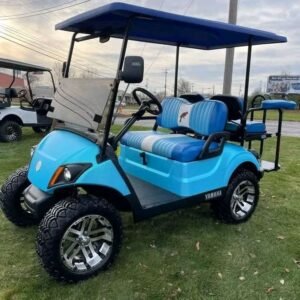 Yamaha Drive 2 Fuel Injected 4 SEATER GAS