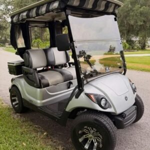 Yamaha Drive2 PTVPower GAS 2 SEATER