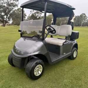 2018 model EZGO RXV 2 SEATER GAS